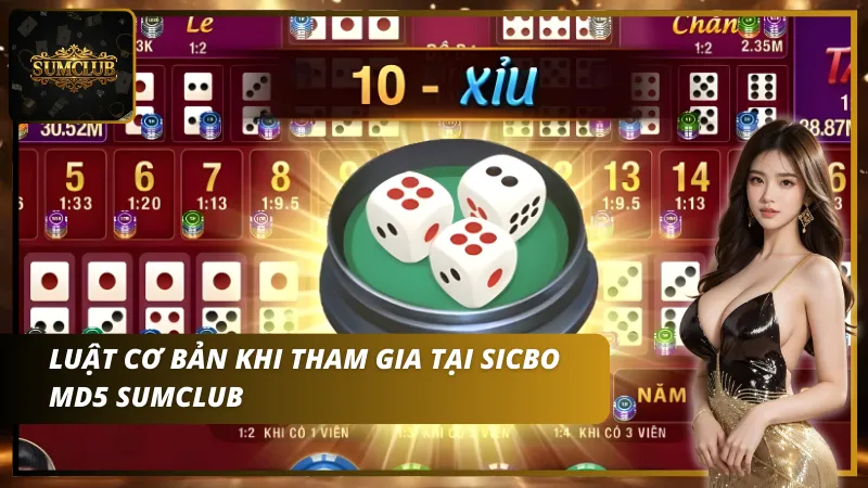 Luật chơi cơ bản khi tham gia chơi Sicbo MD5