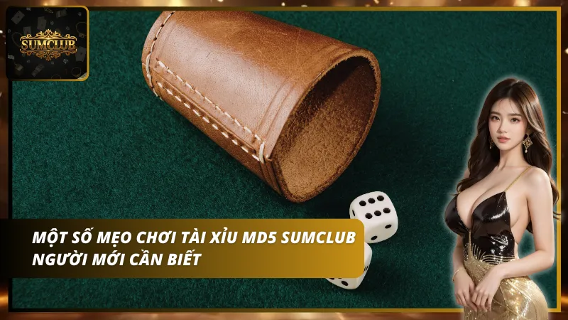 Tham gia tài xỉu MD5 Sumclub ngay hôm nay để thử vận may của mình