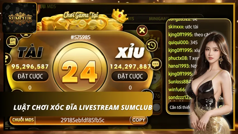 Người chơi cần nắm rõ luật lệ để có trải nghiệm trọn vẹn và gia tăng cơ hội chiến thắng