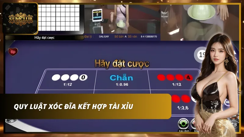 Quy luật của bộ môn xóc đĩa kết hợp tài xỉu